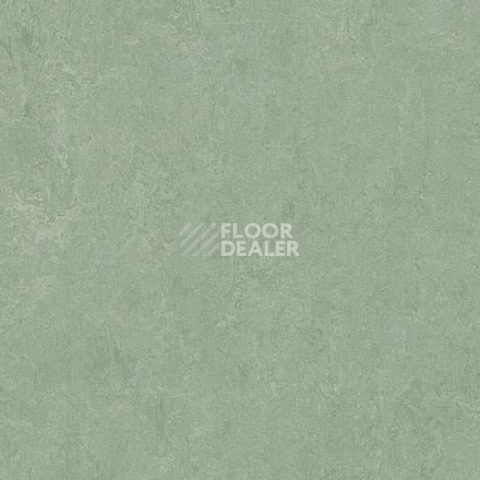 Линолеум Forbo Marmoleum Decibel on Order 389135 sage фото 1 | FLOORDEALER